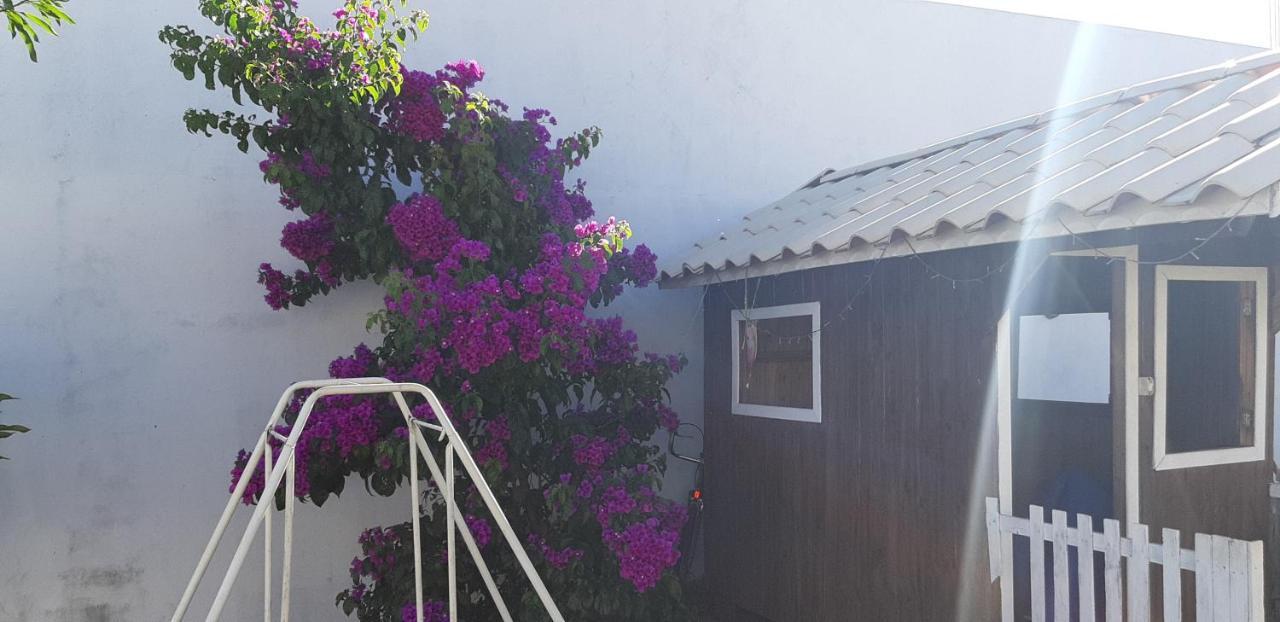 Pousada Cris Garden Bed&Breakfast Фос-ду-Игуасу Экстерьер фото